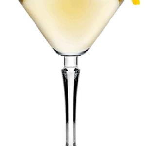 440263 Hudson Martini Bardağı
